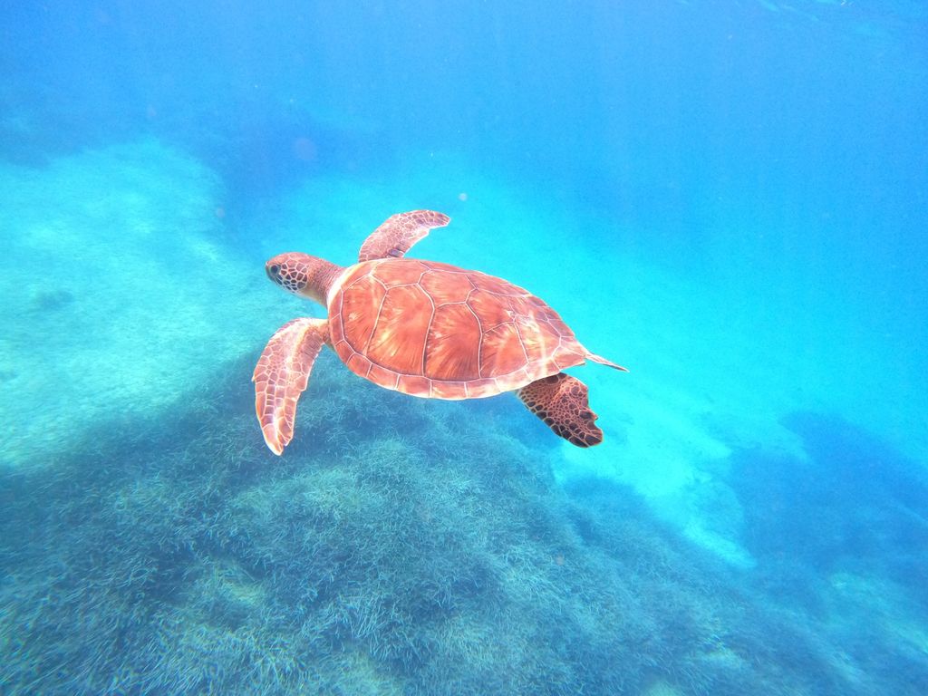 10f44aeb-42e4-44f9-96ef-a79a60e9cd8c