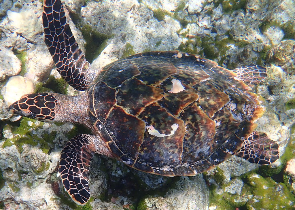 f561ff65-7e80-4094-892c-1e2bbaa6d4d1