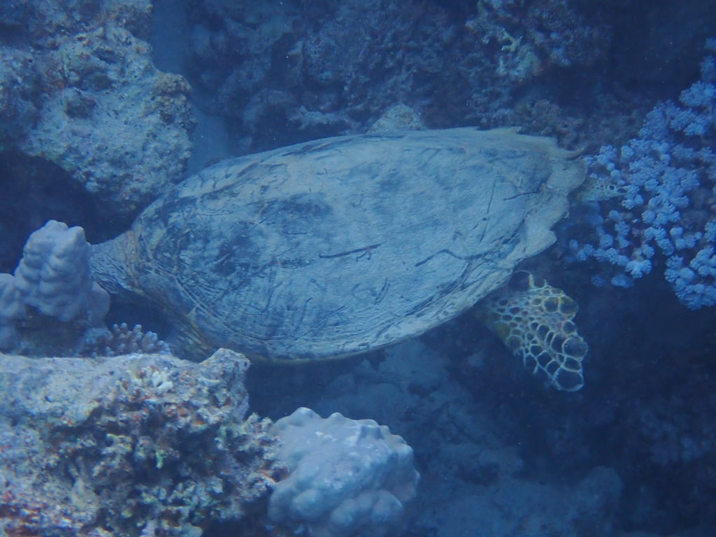 bd5a1fa3-2ef5-4113-836e-e6e4ced813fa