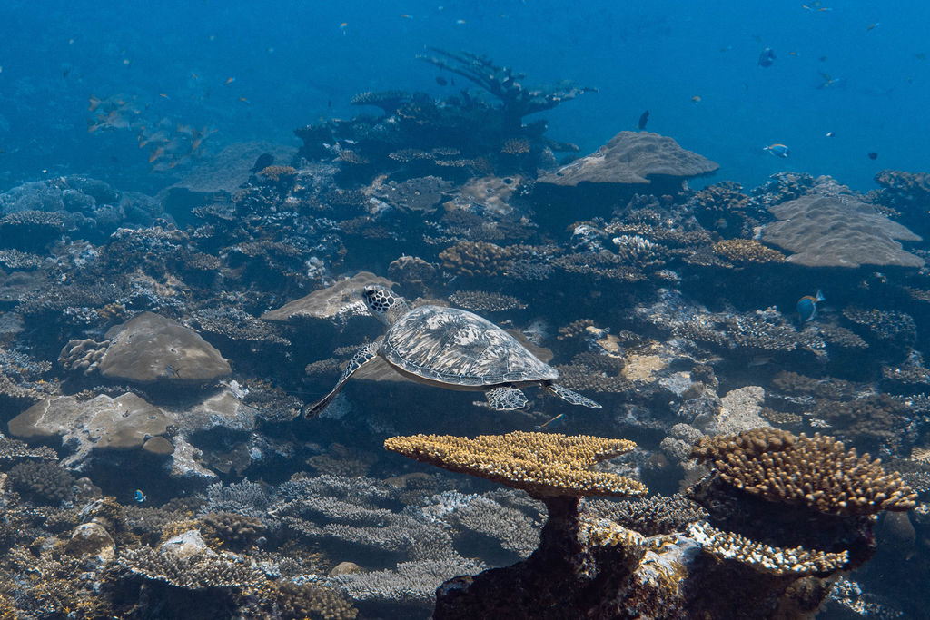 72fa4c24-2108-4096-abb7-f6cfdc5af851