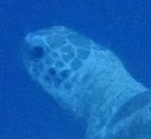 9e71f4d5-5933-440c-a2f1-5375f0e77789