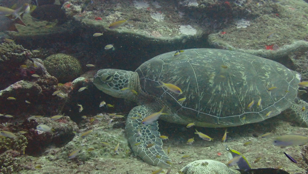 e4465be5-4460-48b9-97f6-d887397a9e88