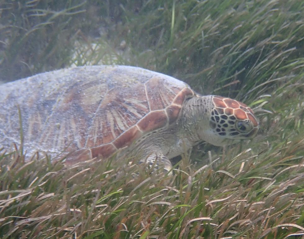 390985b4-9449-49a2-a830-fd57ebd15800