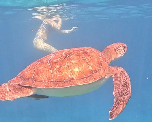 72b381a9-4f89-49c1-af09-7e4e43593eb0