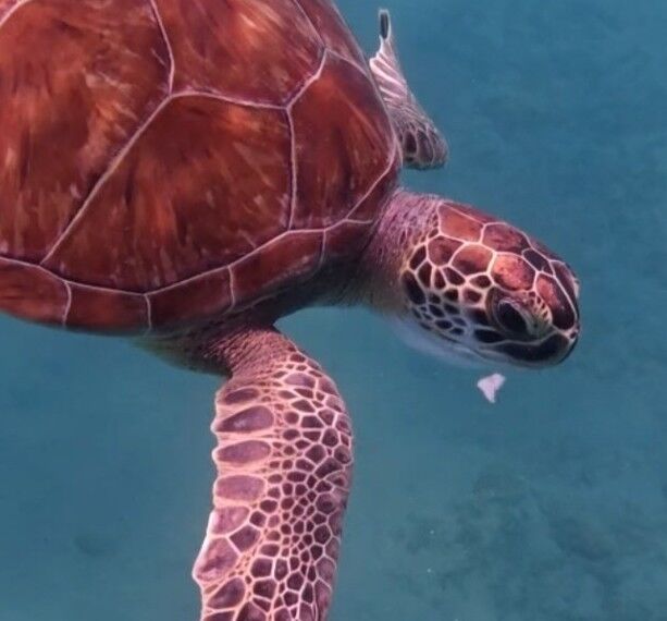 3cd81eb9-6319-4717-9688-5b78c30185de