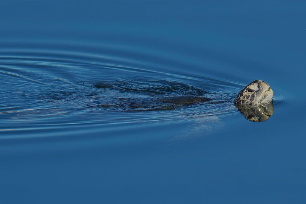 0b16043f-00bd-48ea-83ce-83b8c272869f