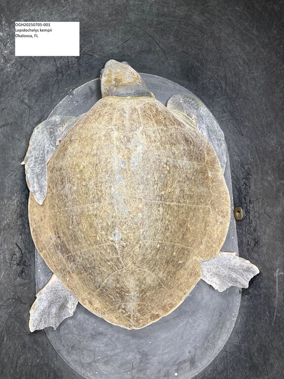 09f48f17-5c44-448b-8310-ac0512964b29