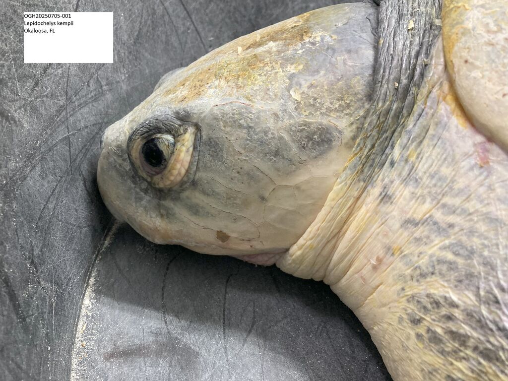 09f48f17-5c44-448b-8310-ac0512964b29