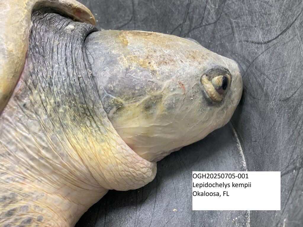 09f48f17-5c44-448b-8310-ac0512964b29