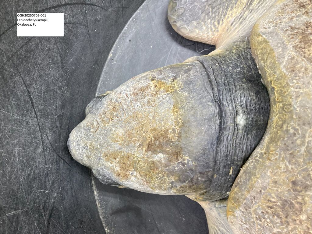 09f48f17-5c44-448b-8310-ac0512964b29