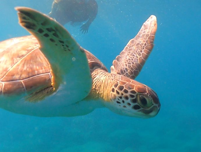 36297234-138d-4abf-8d99-e38aa00755bd