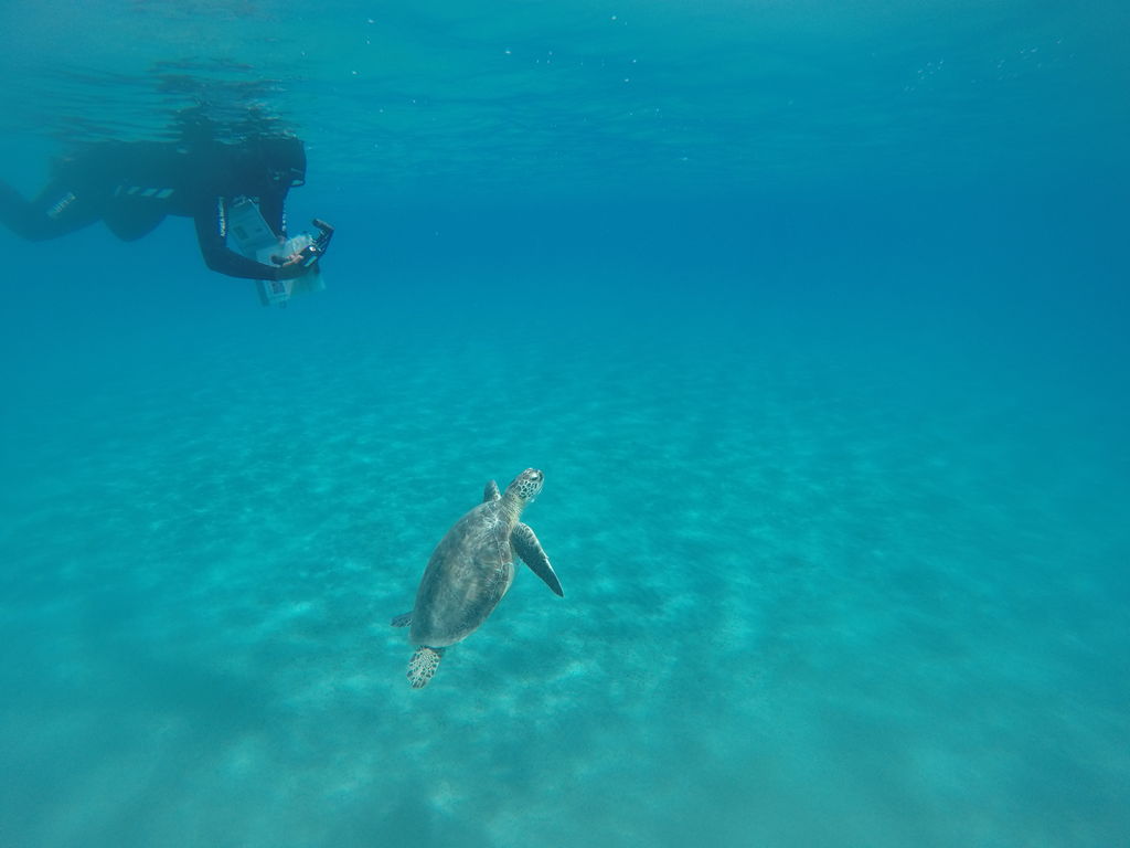 efdda73e-e395-4ac9-a10f-92978a30bdab