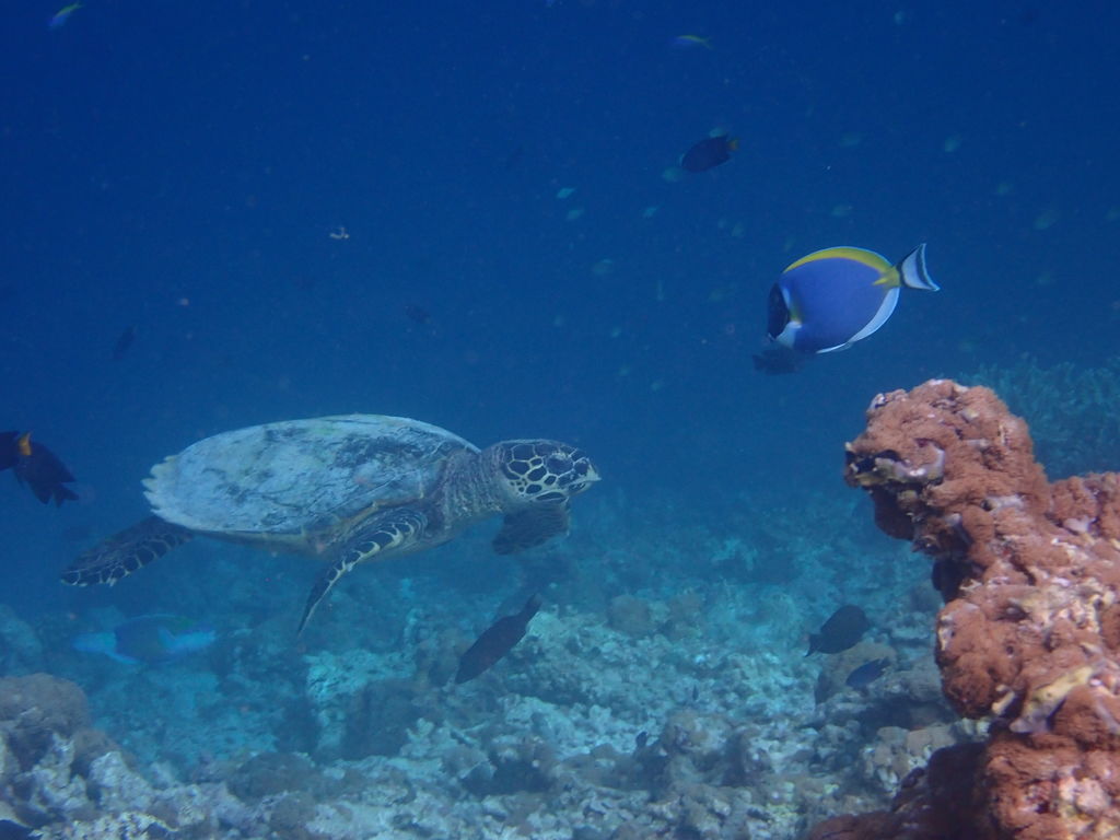 7d1a3be9-3338-45ec-8fe1-454888dd0af7