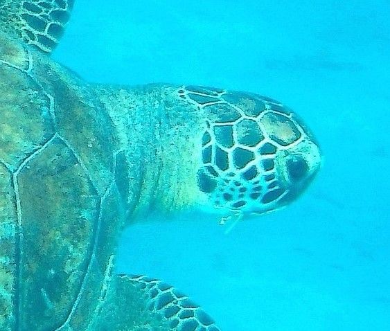 caddf327-05b3-4145-90bb-2e733089986f