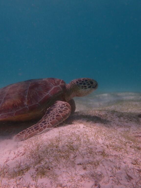 f24acb59-96ae-409c-a9df-b19b33b13eb8