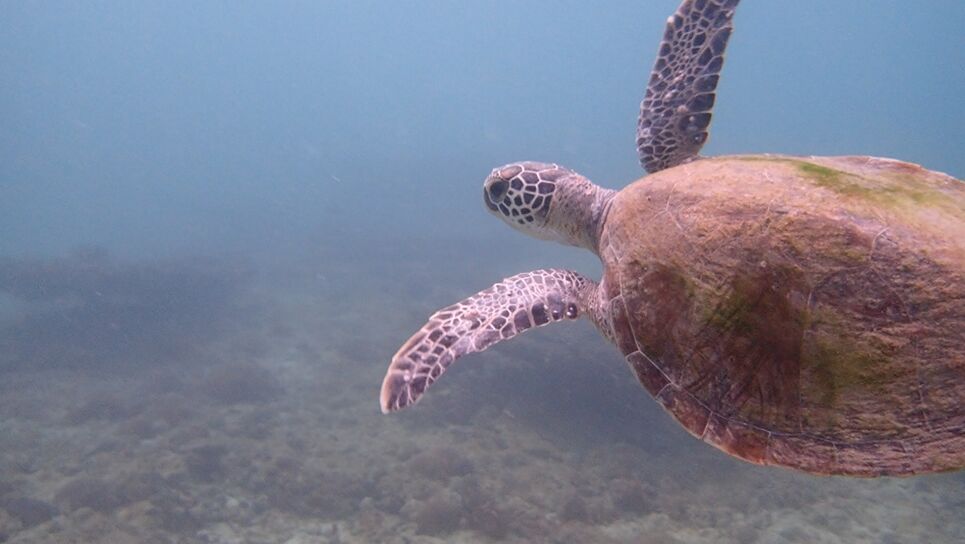 316a40d1-1962-4e73-a320-4cbc28fbe416