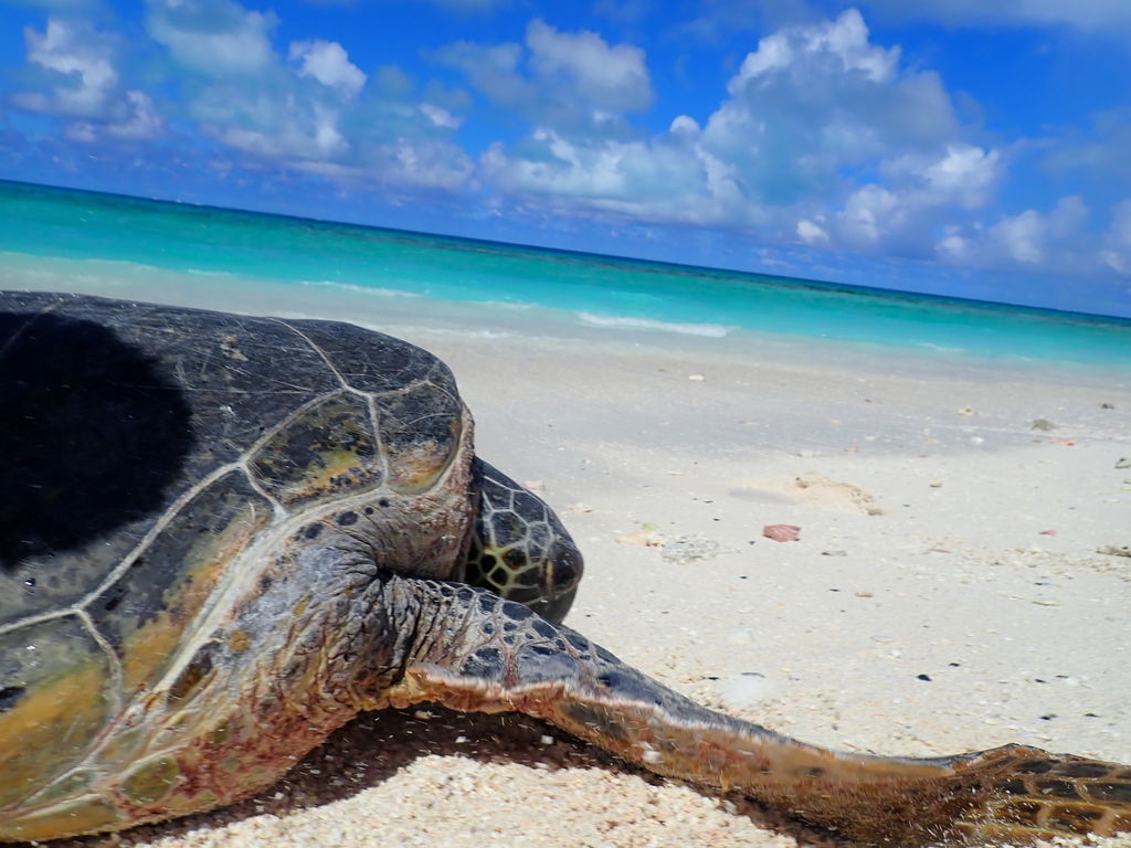 7ea1721c-ec09-4381-910d-5cdf72460b65