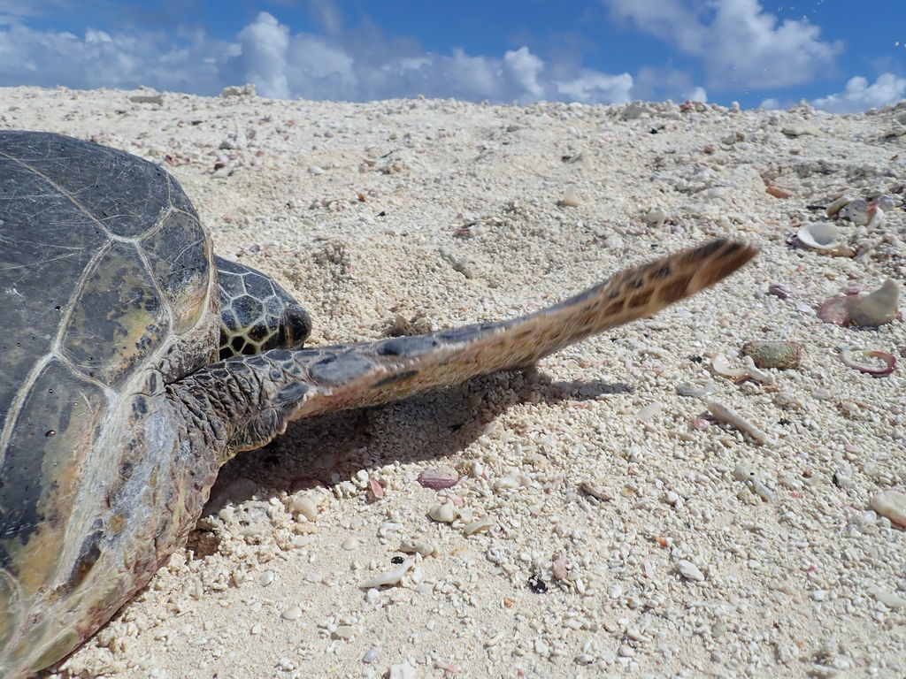 7ea1721c-ec09-4381-910d-5cdf72460b65