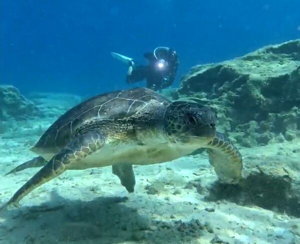 b3a242d4-f40a-4669-a1cf-0754fb1f7cf2