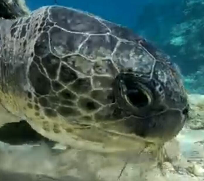 b3a242d4-f40a-4669-a1cf-0754fb1f7cf2