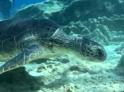 b3a242d4-f40a-4669-a1cf-0754fb1f7cf2