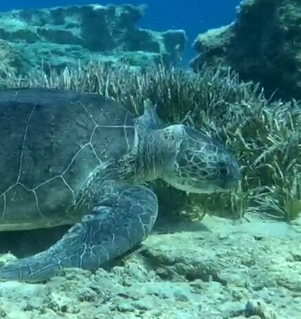 b3a242d4-f40a-4669-a1cf-0754fb1f7cf2