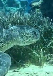 b3a242d4-f40a-4669-a1cf-0754fb1f7cf2