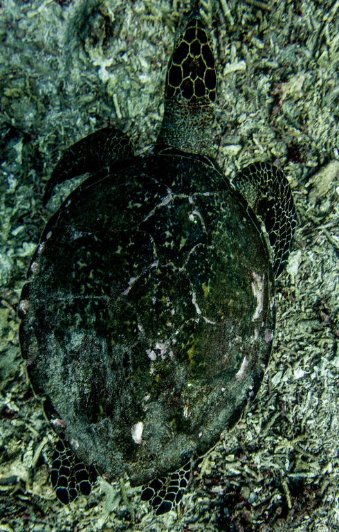 f8faac04-a14e-45d7-8a16-ef27af888381