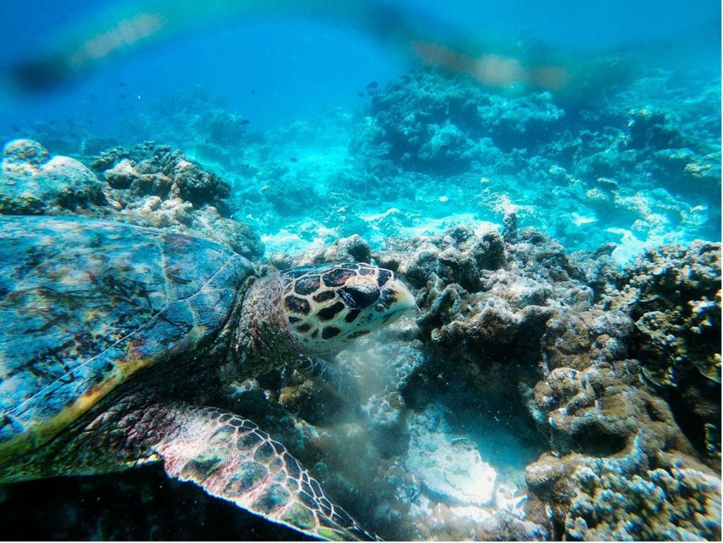 2e25001f-4b15-44b7-bdd9-992f20b87ff5