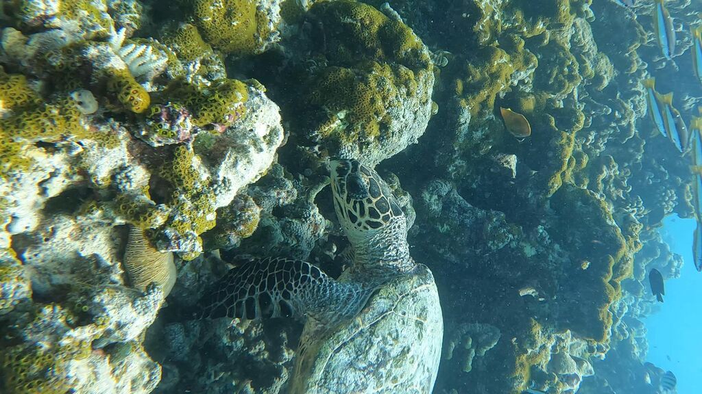 05761fed-f262-42b4-882c-02be754c9d0e