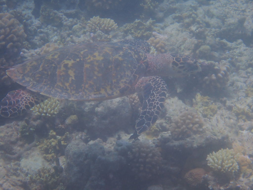 f361ff26-1e66-4c82-86e7-43d29ae699db