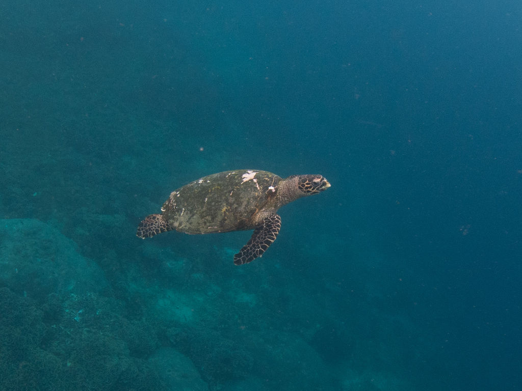 11ccb869-84b8-4279-bf0a-9b48d257e25a