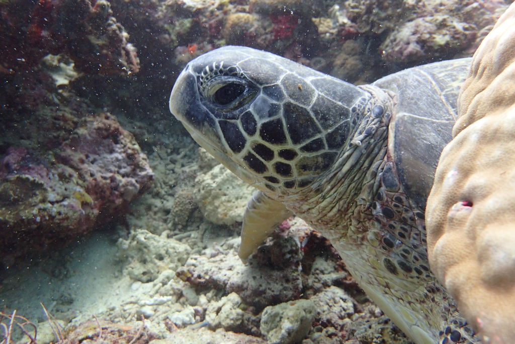 0d056bec-d9eb-47a7-a731-d81a07cabfa6