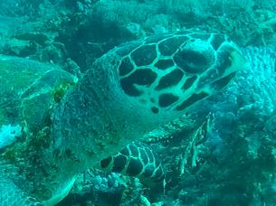 8dcd36ea-f2ea-4ad4-abf3-163061b12f25