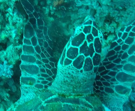 8dcd36ea-f2ea-4ad4-abf3-163061b12f25