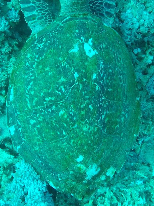 8dcd36ea-f2ea-4ad4-abf3-163061b12f25