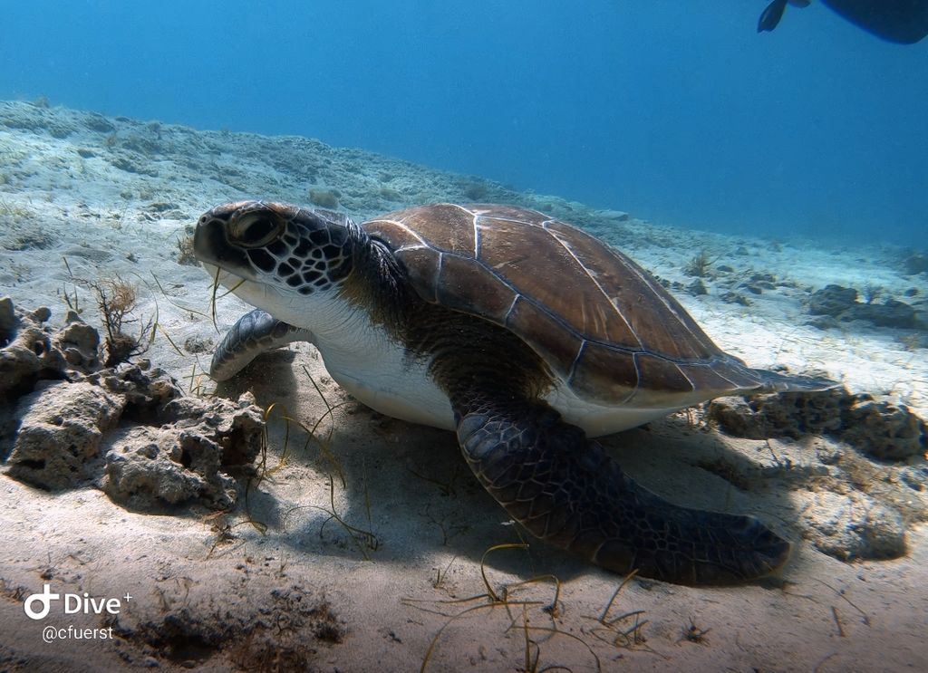 27cfe191-63e3-46ac-8ffc-01f6c3546d39