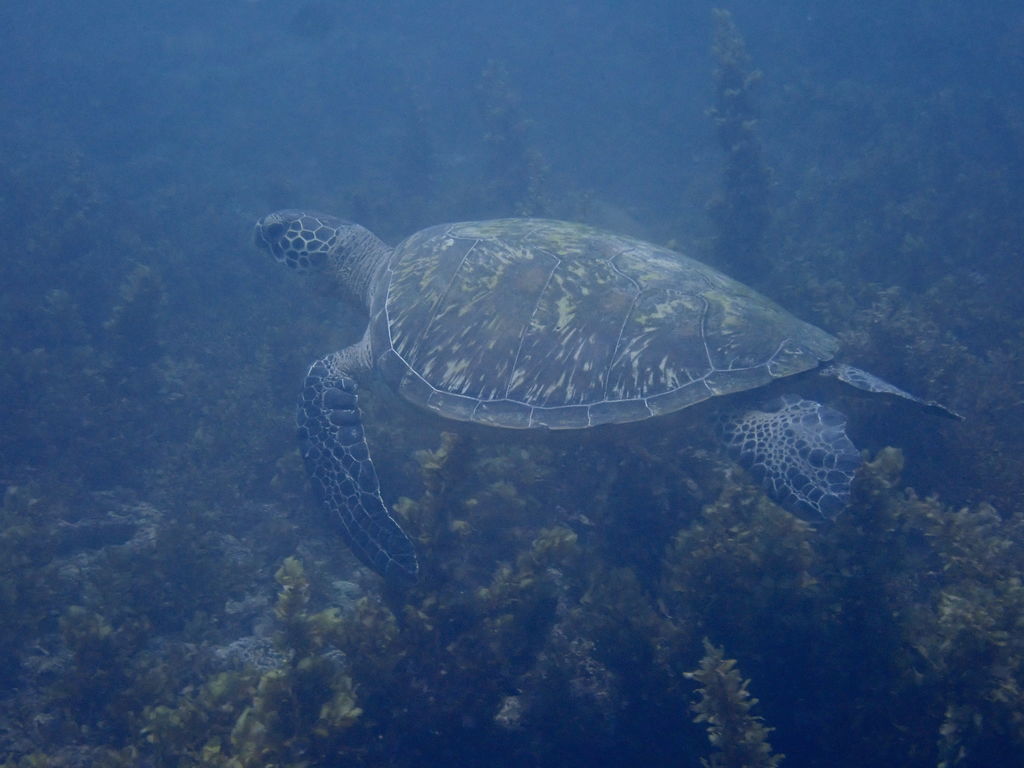 75159d35-dd42-4ad8-84d8-ea3ba67aa6f6