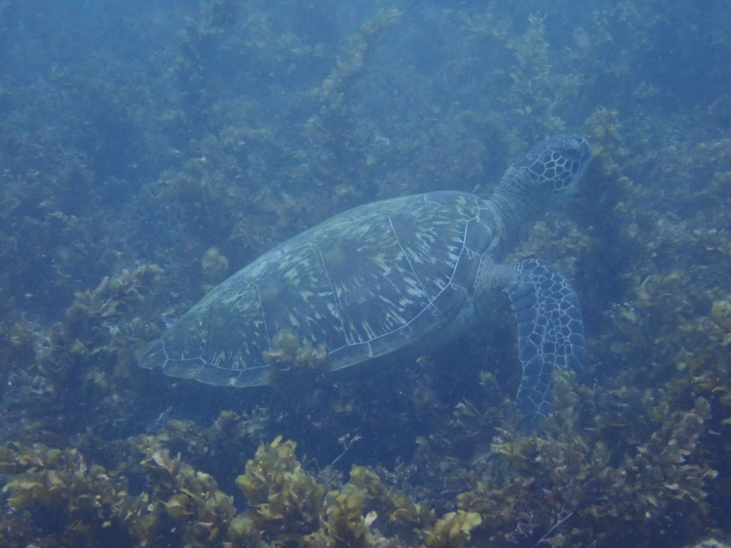 75159d35-dd42-4ad8-84d8-ea3ba67aa6f6