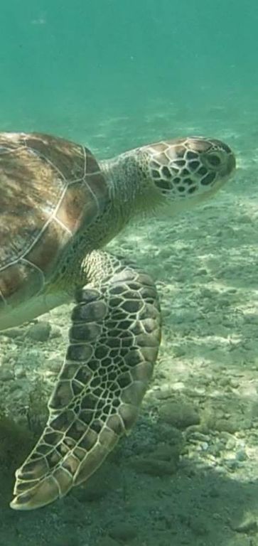 317c2b73-9874-46b7-943e-82f59d4acf6f