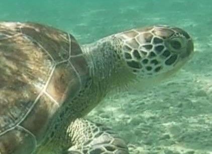 317c2b73-9874-46b7-943e-82f59d4acf6f