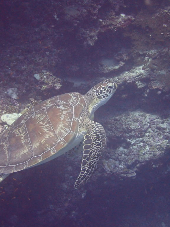 22bafdde-8da3-48e7-b48d-72ad3cdc7a61