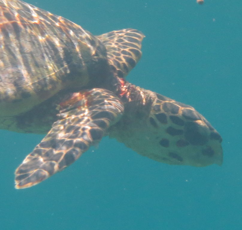 6ed9ddc6-0610-4c94-ba48-e373feee0673