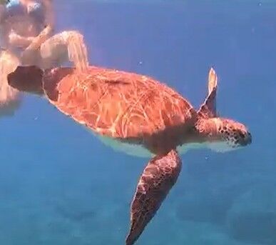 72b381a9-4f89-49c1-af09-7e4e43593eb0