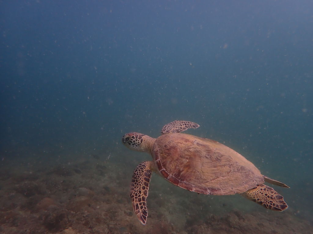 1adb12b3-768b-47ab-8b25-2dd38fce38b9