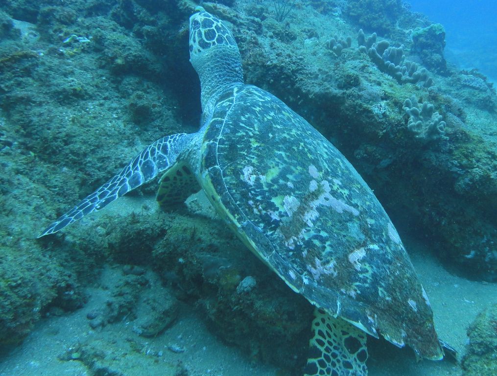 29d535e9-1435-4bf1-b6d6-4cb77977de9f