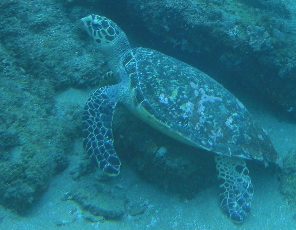 29d535e9-1435-4bf1-b6d6-4cb77977de9f