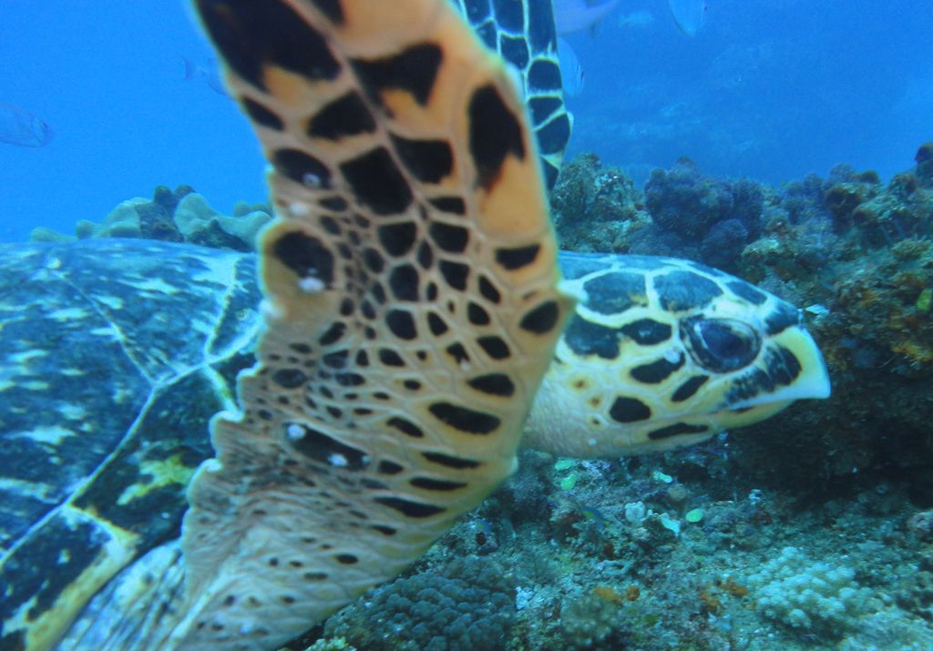 29d535e9-1435-4bf1-b6d6-4cb77977de9f