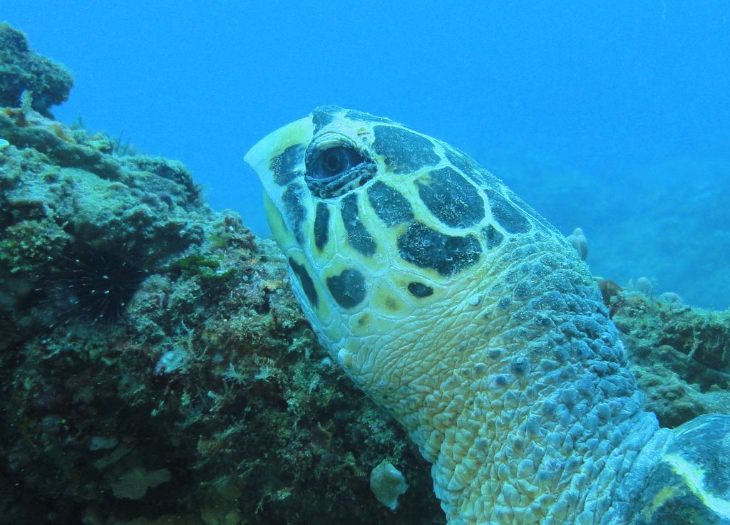 29d535e9-1435-4bf1-b6d6-4cb77977de9f