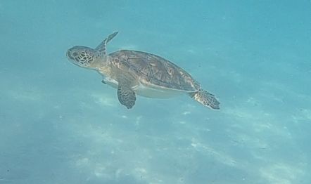 d85fece4-d46b-4453-8b33-600b6181a7a4